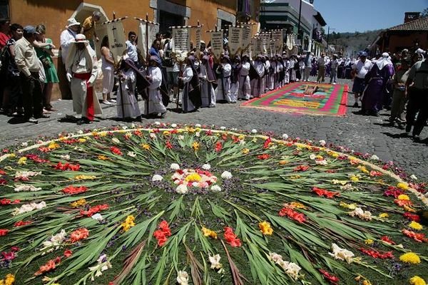 Carpets and Processioners in Antigua
