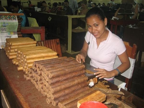 Cigar Factory Worker