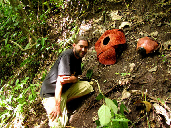 Me and the rafflesia