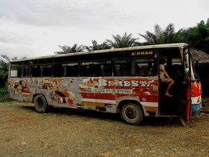 The bus from Tangkahan