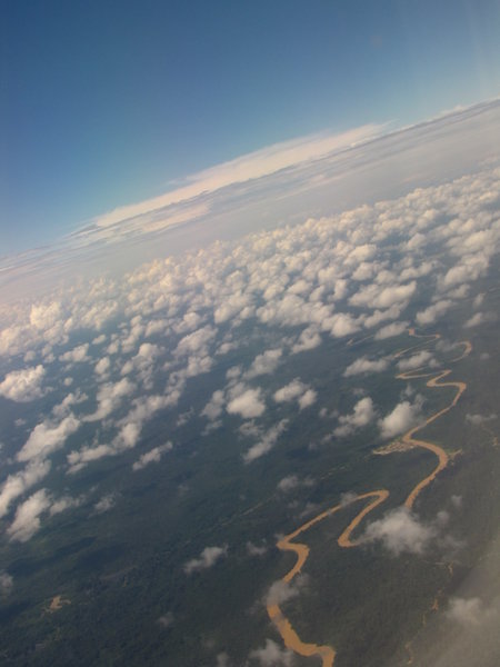 The Jungles of Borneo From the Air