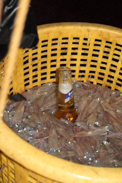 A novel way of keeping your beer cold