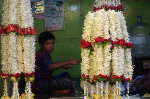 Boy selling flowers