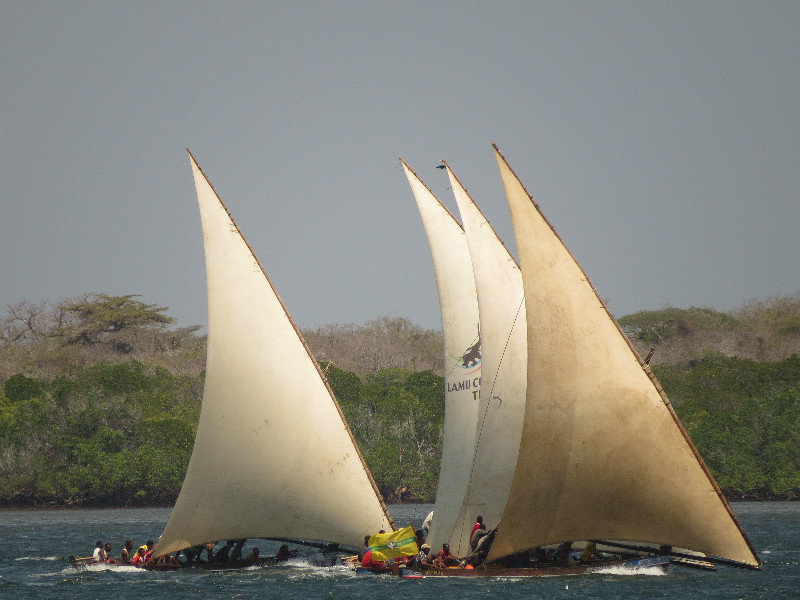 New Year's Day dhow race