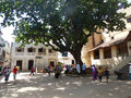 Lamu's main square