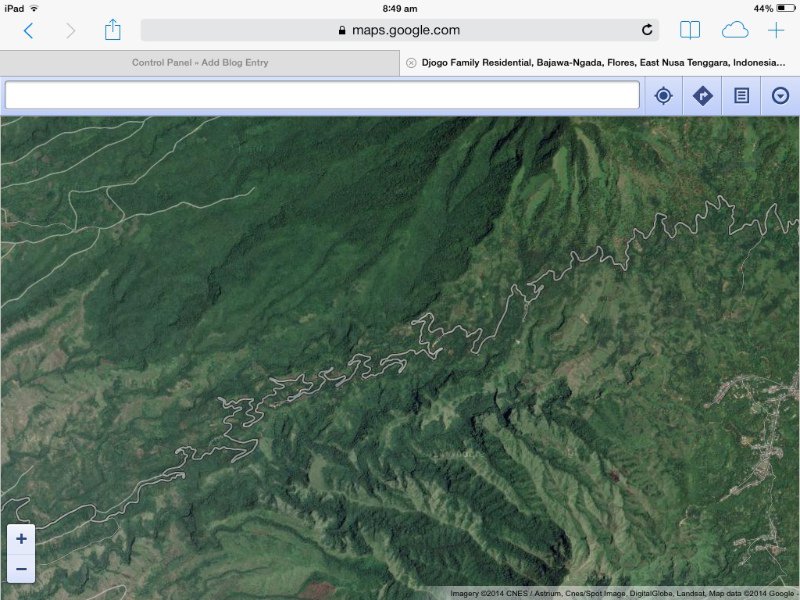 Like a plate of mee - screenshot of the Transflores Highway on Googlemaps