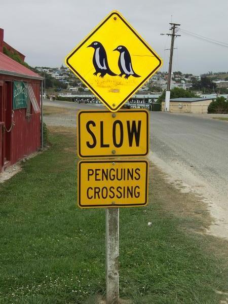 Beware Penguins!