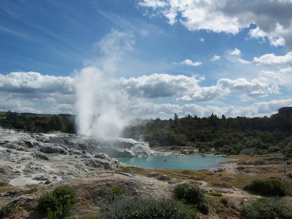 What a Geyser!