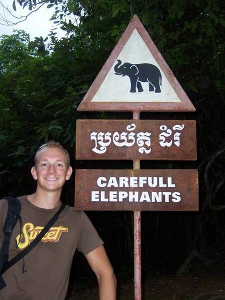 Easy to miss an Elephant!