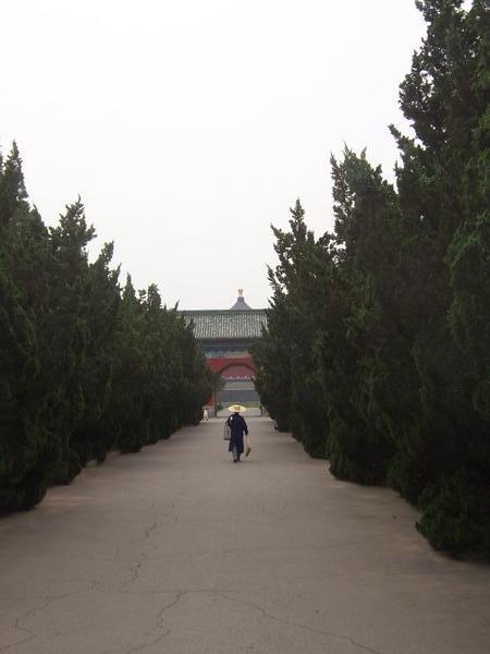 A local at the Temple of Heaven