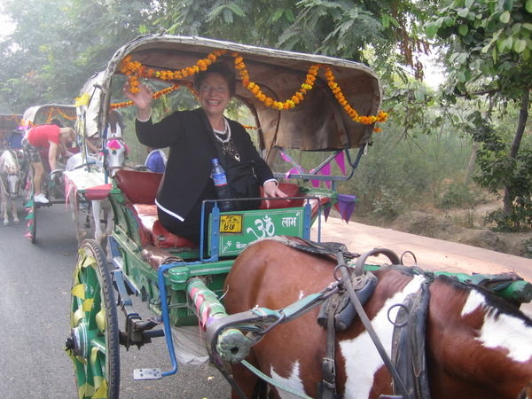 Tonga Ride