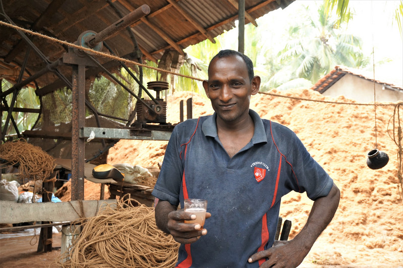toddy tapper at coconut plantation