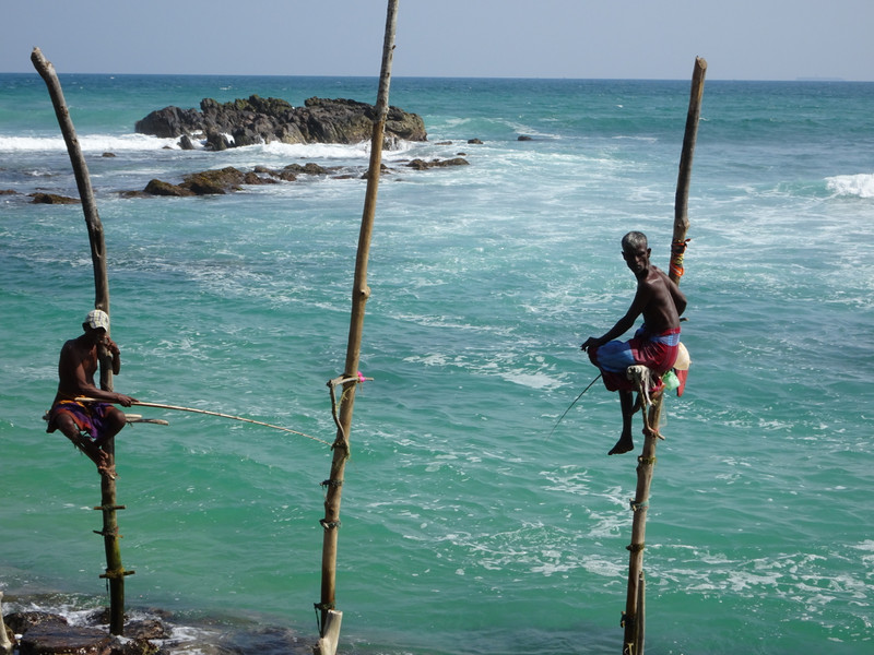 weligama - stilt fishermen