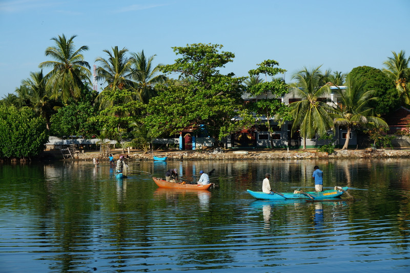 batticaloa - fishing in lagoons