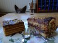 eastern european cakes (and jasper)