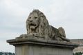lion of szechenyi chain bridge