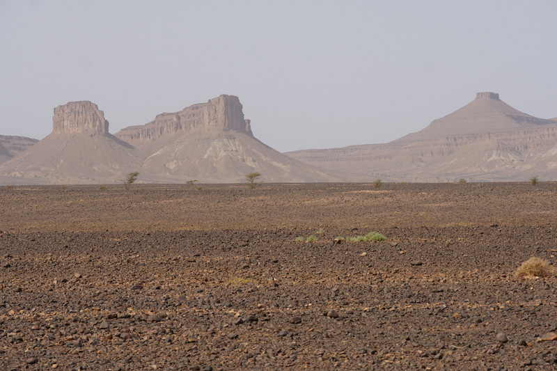 reg and hamada desert landscapes
