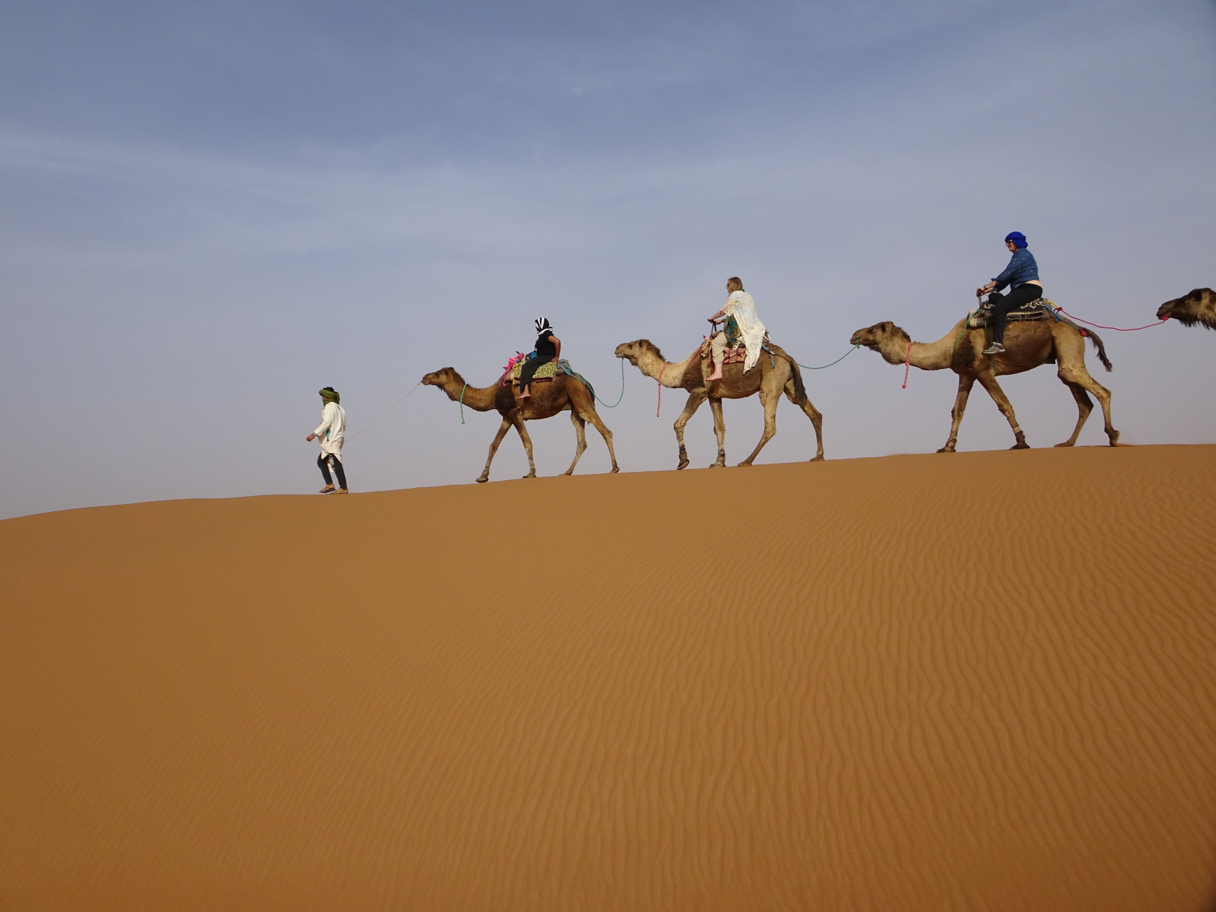 camel ride | Photo