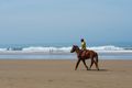 taghazout bay - two horses in perfect sync
