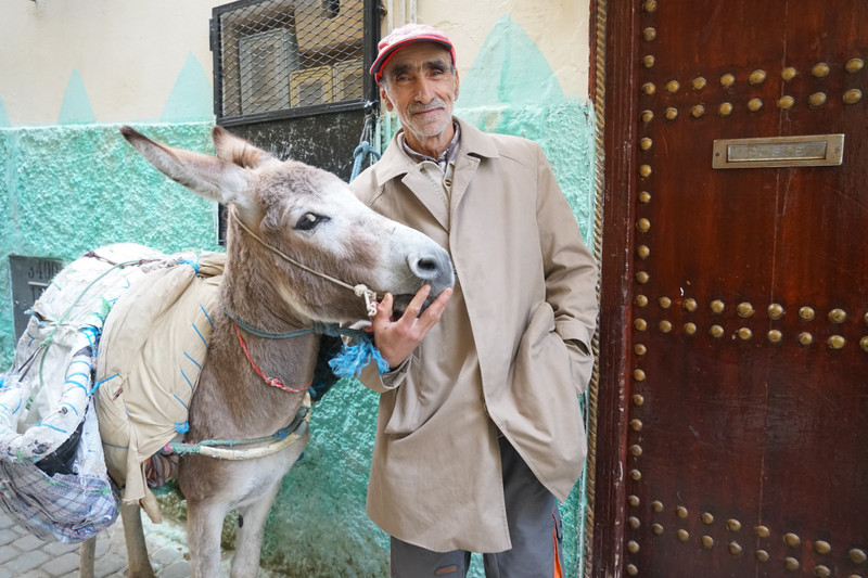 moulay idriss - benny and his human