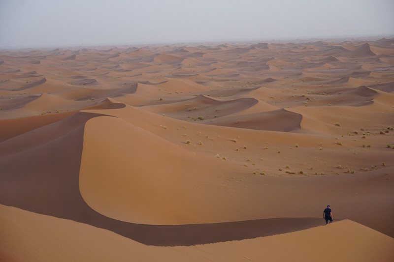 sahara desert - dunes