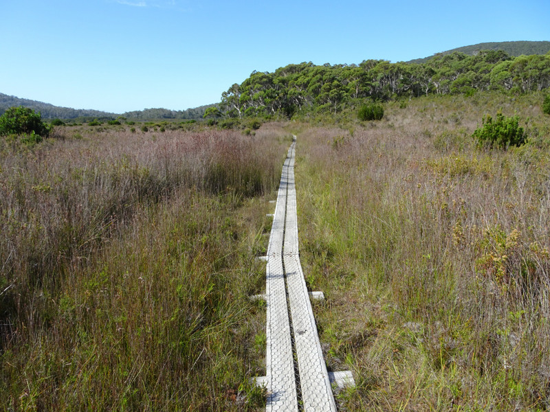 south cape bay hike - levitating snake country!