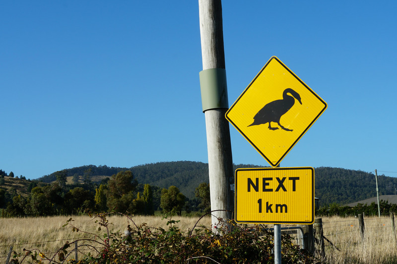 huon highway - black swan sign