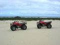 strahan - quad bikes on henty dunes (2008)