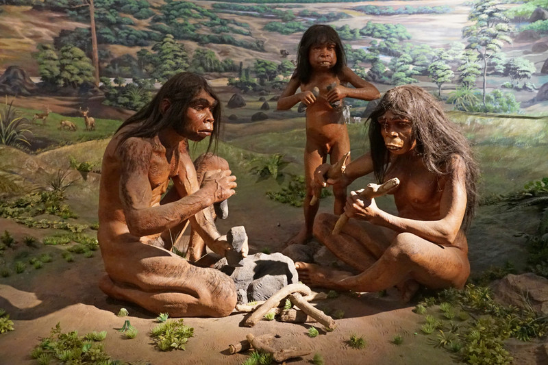 national museum - homo erectus diorama
