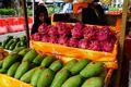 petak sembilan market - dragon fruit and mangoes