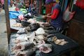 petak sembilan market - fish stalls