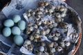 pangandaran market - salted duck eggs