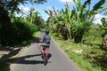 bike ride scenery