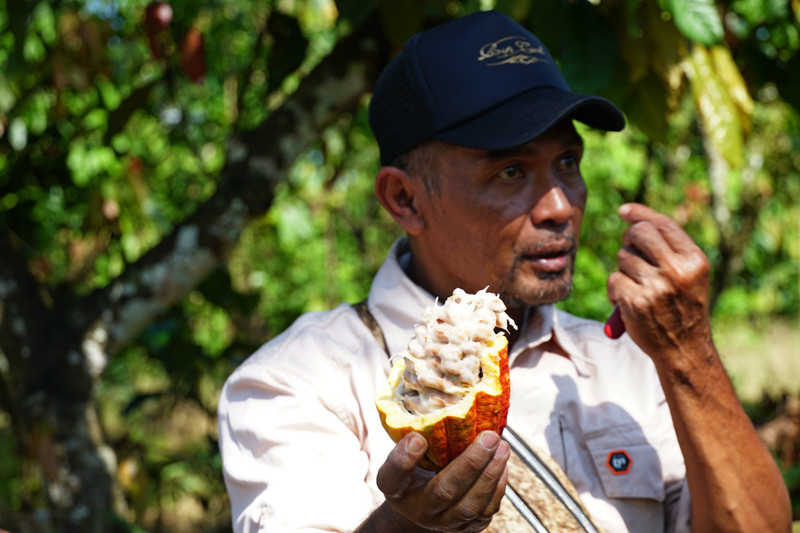 kalibaru - cocoa, coffee and rubber plantation visit