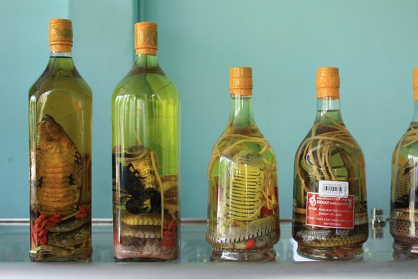 mekong delta rice wine with snake
