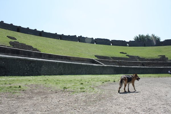 pompeii ruins amphitheatre