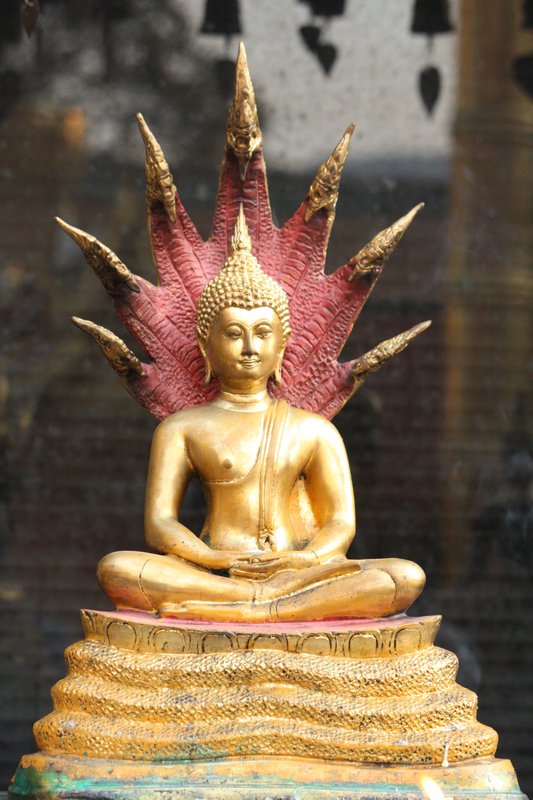 wat doi suthep (ren's birthday buddha)