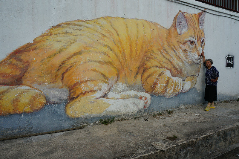street art  - big cat