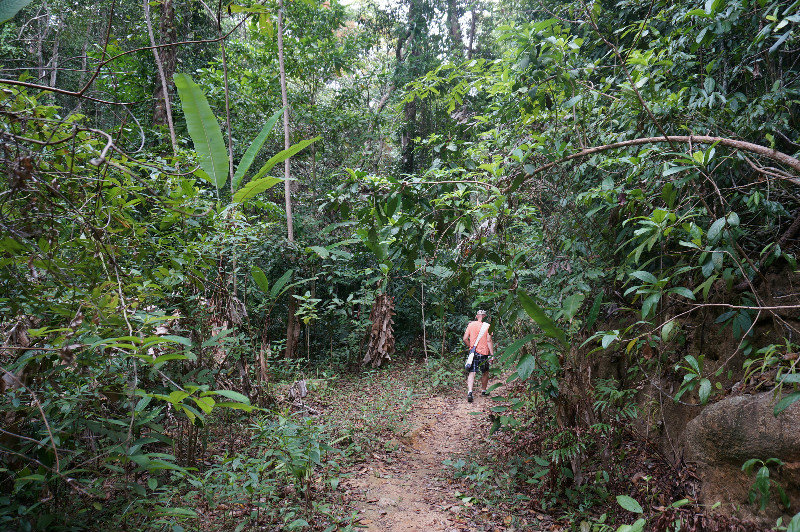 jungle trek