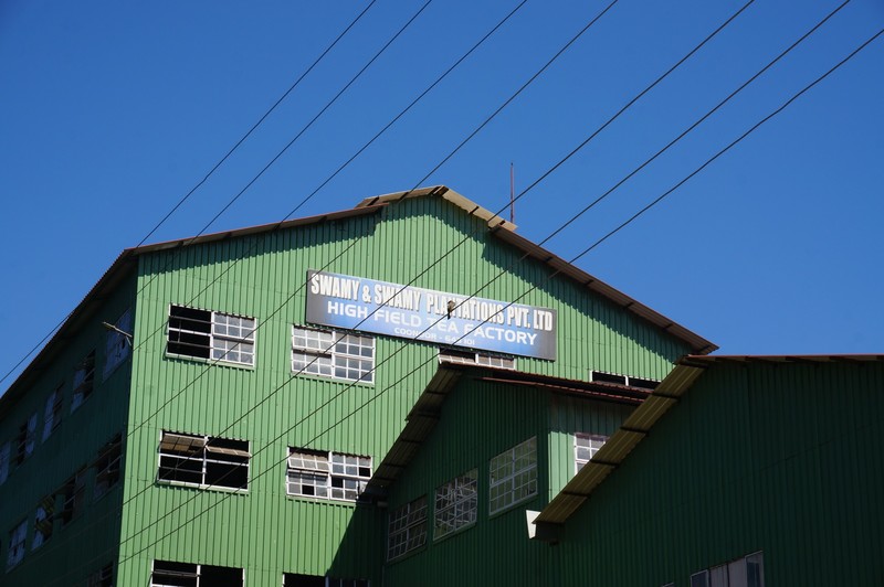 highfield tea factory