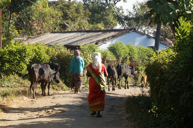 village in mudumalai national park