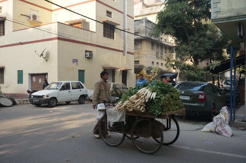 streets of delhi