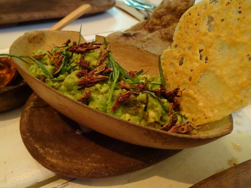 guacamole with fried grasshoppers