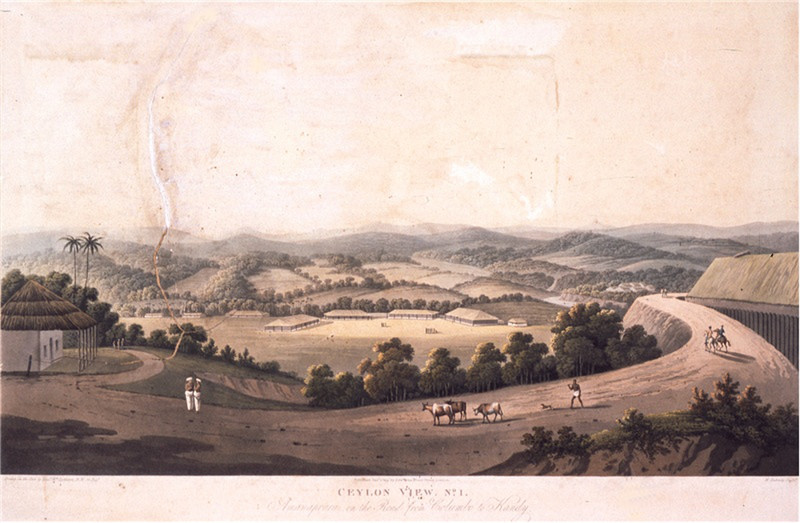 Road from Colombo to Kandy (1819)