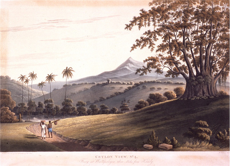 Three Miles from Kandy (1819)