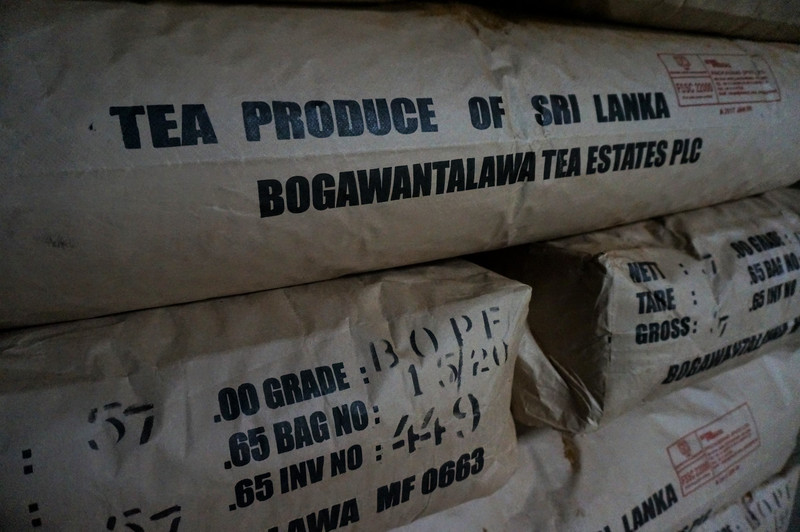bogawantalawa tea estate