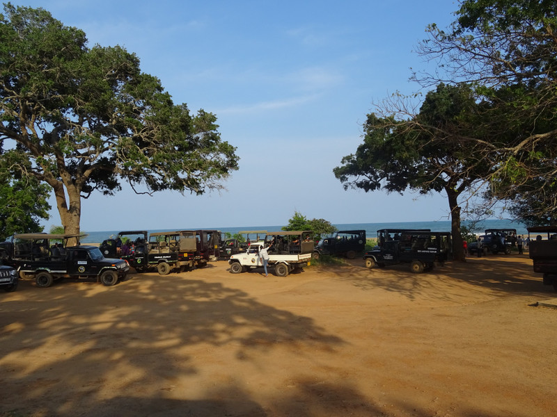 jeeps at patanangala beach