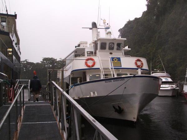 Cruising Milford Sound