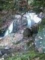 Sharplin Falls