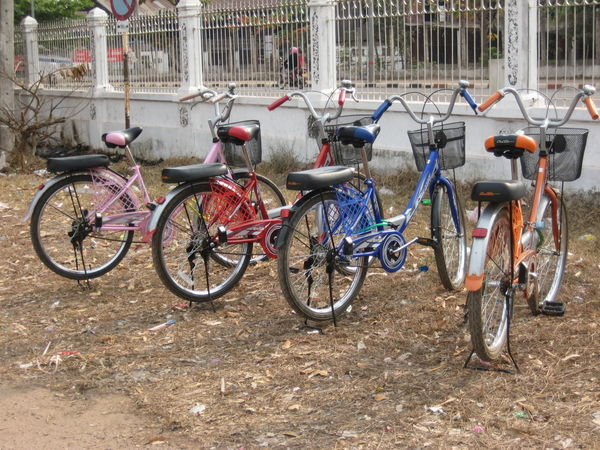 Our Bikes